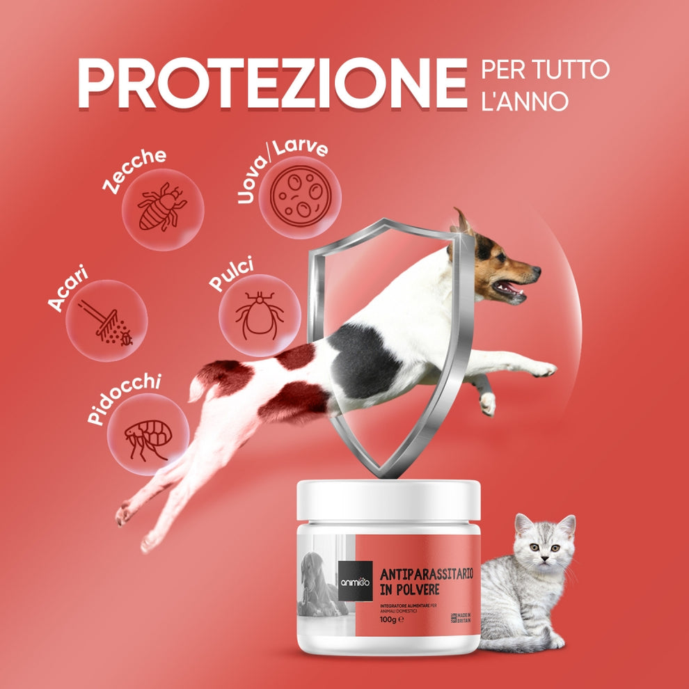 Pezzi Per La Rimozione Dei Peli Di Animali Domestici, Lavatrice Anti Peli Riutilizzabile Per Rimozione Dei Peli Lavatrice Anti Peli 97544625 Pezzi Per La Rimozione Dei Peli Di Animali Domestici, Lavatrice Anti Peli Riutilizzabile Per Rimozione Dei Peli Lavatrice Anti Peli 97544625