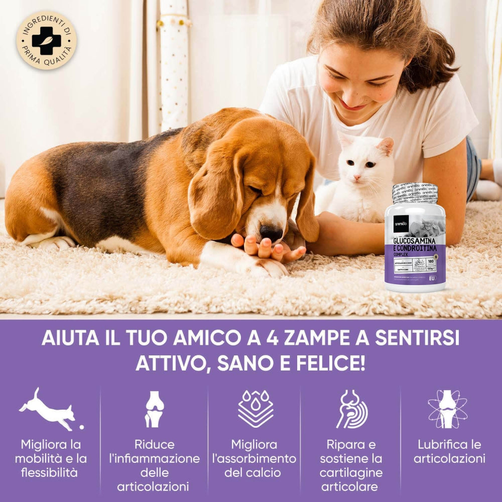 glucosamine-and-chondroitin-it-02
