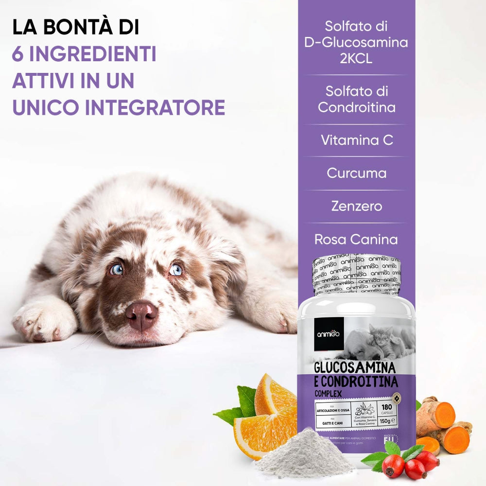 glucosamine-and-chondroitin-it-03