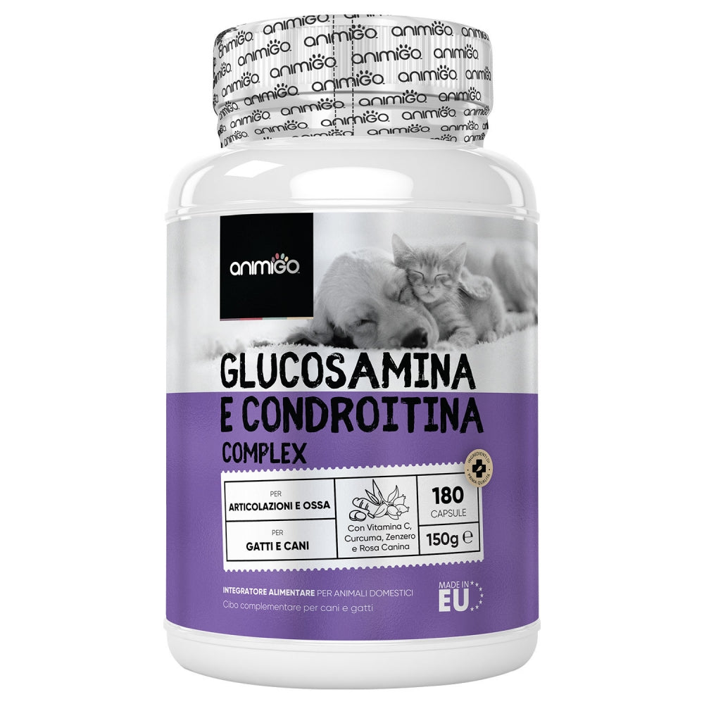 glucosamine-chondroitin-complex-1-front-it
