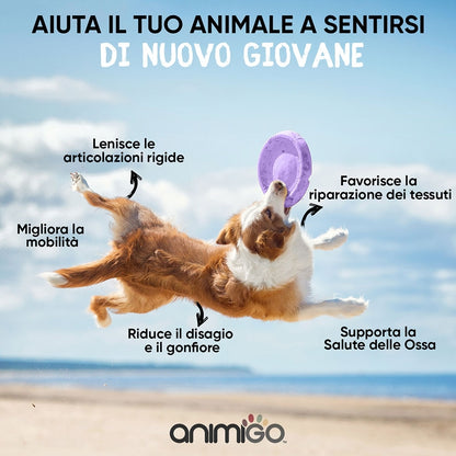 hip-and-joint-complex-cap-it-02