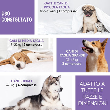 hip-and-joint-complex-cap-it-04