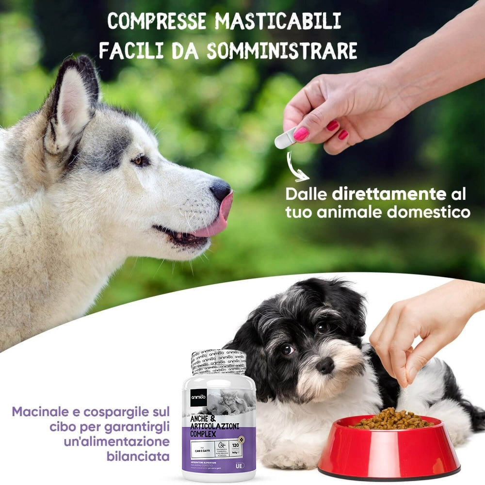 hip-and-joint-complex-cap-it-05