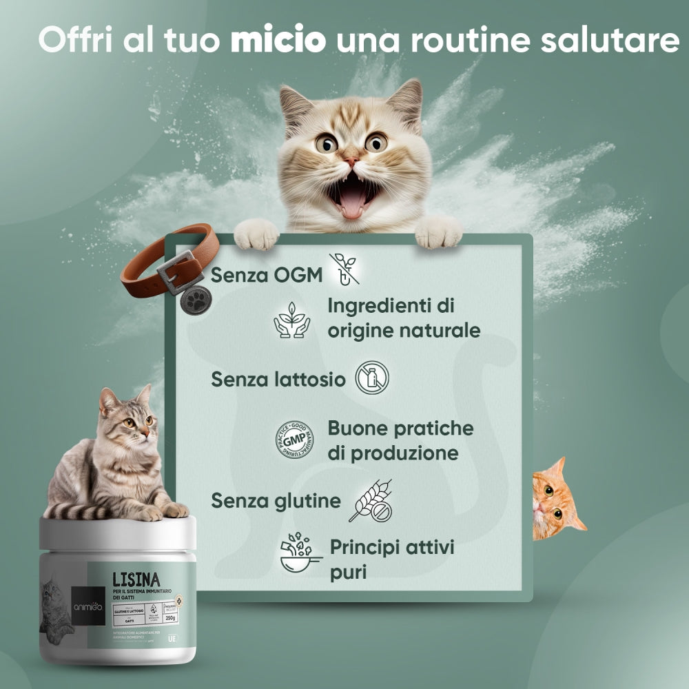 l-lysine-powder-250g-it-03