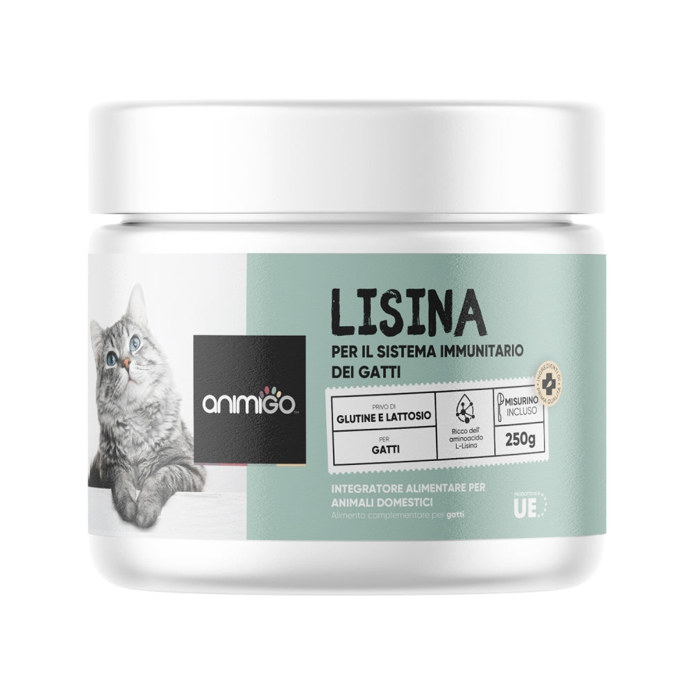 l-lysine-powder-250g-it-fronts
