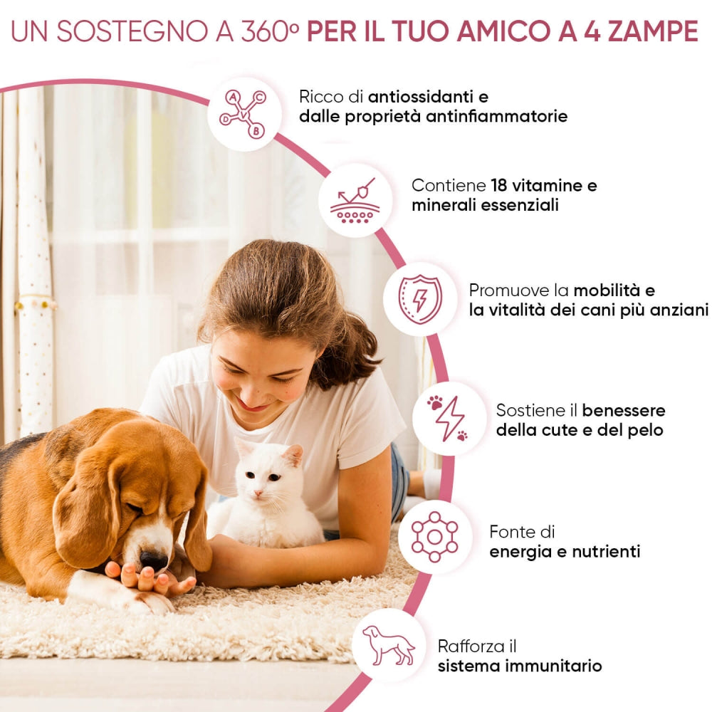 multivitamins-and-minerals-for-dogs-cat-it-02