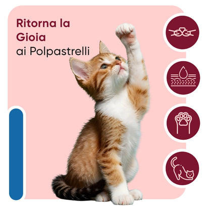 paw-and-nose-for-cats-it-bottle-02